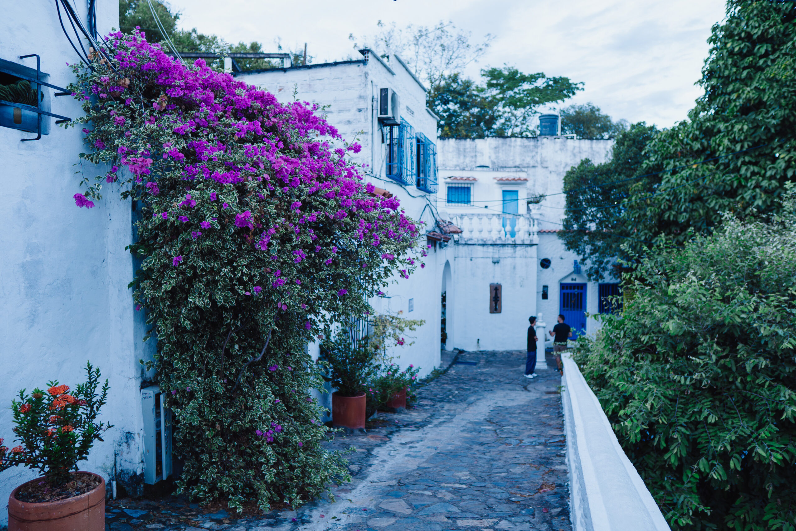 Santorini Colombia: a picturesque town with white and blue Greek-style houses in Colombia